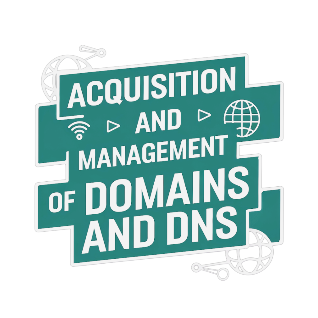 Domain and DNS Audit and Management (Annual Value)